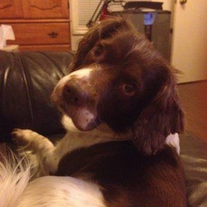 Meet your Posher, Mahsa